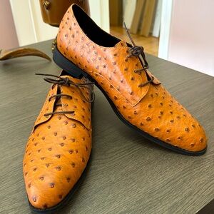 Men’s stamped ostrich shoe